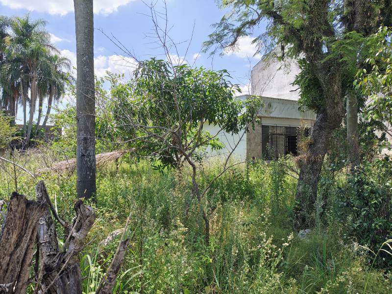 Terreno Rio Branco Canoas 